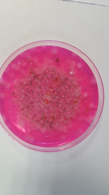 box en paille box en paille