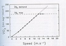 Les bases de la physiologie de l'effort