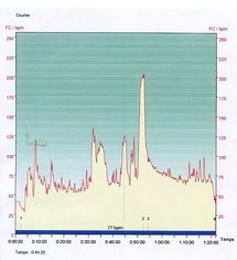 Les bases de la physiologie de l'effort Les bases de la physiologie de l'effort