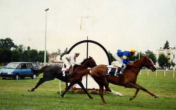 Les bases de la physiologie de l'effort Les bases de la physiologie de l'effort