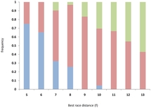 Polymorphisme du gène de la myostatine