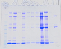 Bonne année 2014 Bonne année 2014