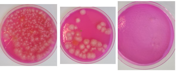 Paille de 1000 à 100 000 Paille de 1000 à 100 000